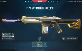 Conta Com Skin No Valorant