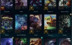 CONTA D4 MMR d1/d2