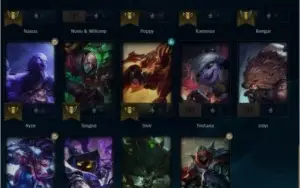 CONTA D4 MMR d1/d2