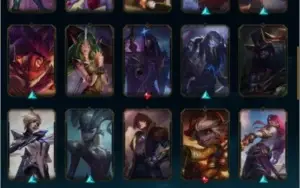 conta d4 top
