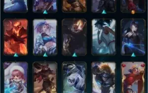 conta d4 top