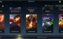 WILD RIFT ACC D4 com várias skins