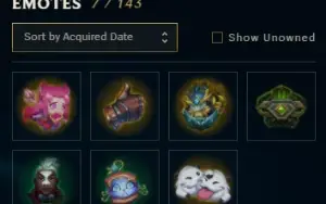 conta platina I flex main adc