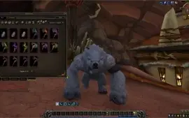 shadowlands com torre dos magos druida Tank, DPS, DH DPS