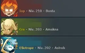 Wakfu Account 40K Ogrines + 3 Chars 200+