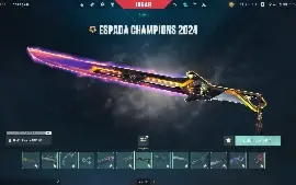 Conta Valorant - R$ 6842,00 Gastos E 317 Skins