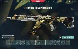 Conta Valorant - R$ 6842,00 Gastos E 317 Skins