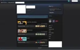 CONTA STEAM MEDALHAS CSGO PRIME DE 5/10 ANOS DE SERVIÇO