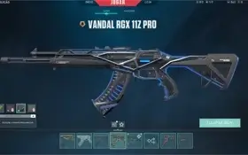 CONTA VALORANT MUITAS SKINS