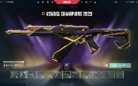 Conta valorant/lol muitas skins