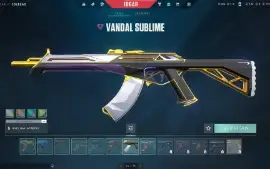 Conta Valorant Plat 1 - Varias Skins - 2100$ Gastos