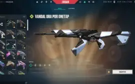 Conta De Valorant Com 4000R$+ Gastos
