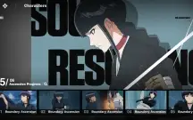 Bleach soul resounacer