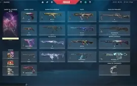 Conta valorant com skins (ascendente 2)