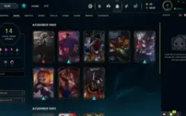 Conta De Lol Unranked Para Smurfar (Envio Automático)