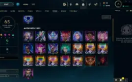 Conta De Lol Unranked Para Smurfar (Envio Automático)