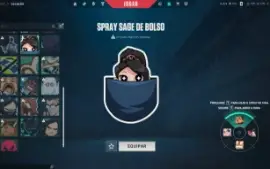 conta valorant com algumas skins