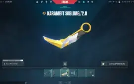 Conta Valorant Full Acesso Karambit Sublime +500R$ Gasto