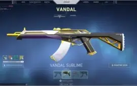 Conta valorant varias skins com mais de 500 reais gastos