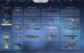 Conta valorant varias skins com mais de 500 reais gastos