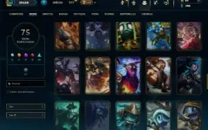 Unranked com 95 Champs e 75 Skins ( SUP / ADC )