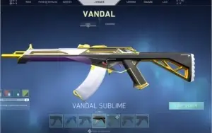 CONTA DE VALOTANT FULL SKIN
