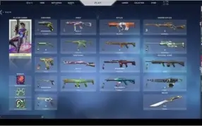 Conta Valorant RS569 GASTOS EM SKINS + PASSES