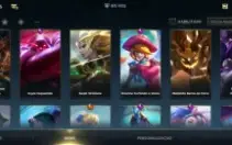 Conta main Suporte