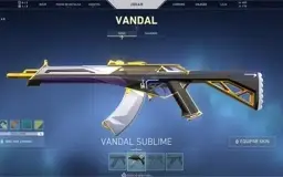 CONTA VALORANT SKINS + RANK