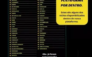 Mega Pack 25.000 Artes Para Canecas Sublimação + Bônus
