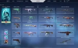 Conta de Valorant Imoral +700R$ skin MMR BOM com 1K VP
