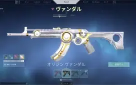 Conta valorant ex radiante muitas skins