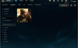 Nível 365, Todos Campeões, 854K Teemo, 119 Skins, 55 Épicas