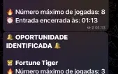 🐯I. A Tigre Fortune🐯