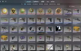 Conta Cs2 Com Prime Com 7 Medalhas