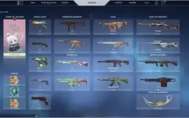 conta prata 3 com algumas skins (tudo nas fotos)