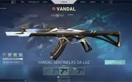 Conta Valorant, Platina 3, Pingente Dima, Várias skins! ZED