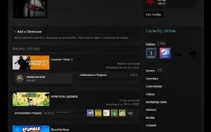 Conta Steam level 111 nivel 10 faceit 