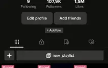 Conta TikTok +100K Seguidores