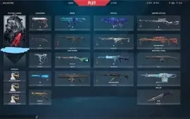 CONTA BETA VALORANT - SKINS