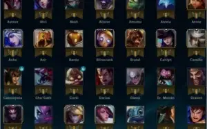 Conta Platina 5