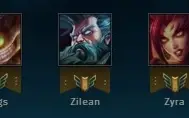 Conta Platina 5