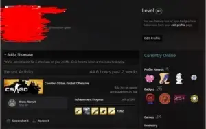 Conta Steam com CS GO Prime Aguia 2 level 19 GC