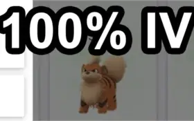 IV 100% NA SUA ACC