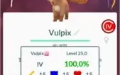IV 100% NA SUA ACC