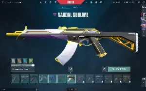 Conta De Valorant Dima 1 Com Skins / + de 700$ gastos