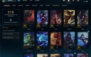 Conta com todos os campeões e 367 skins