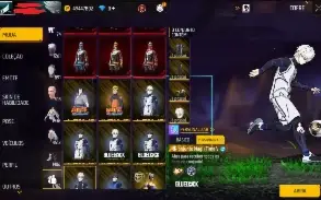 Tudo Existente do Free Fire Via id ⓥ ROUPAS, ARMAS, EMOTES
