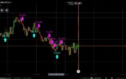 Pacote de 500 Scripts Opçoes Binarias (IQ Option,ExNova)