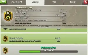 Cv 11 TOP !
